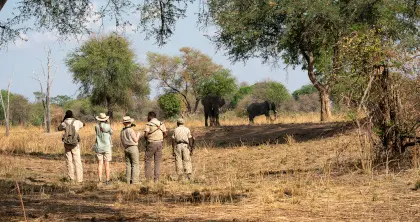 10 Day South Luangwa and Victoria Falls Walking Safari