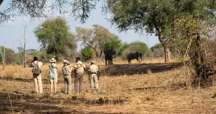 10 Day South Luangwa and Victoria Falls Walking Safari