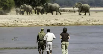 Walking Safaris in Zambia are unforgettable