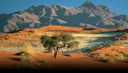 Brown hyena, Serra Cafema