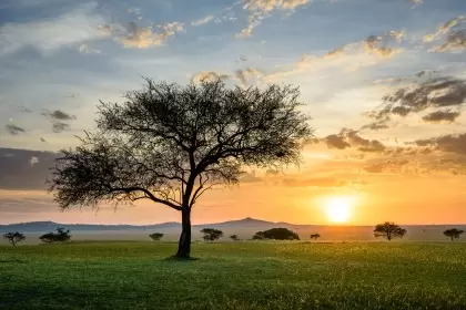 14 Day Best of Tanzania Luxury Safari