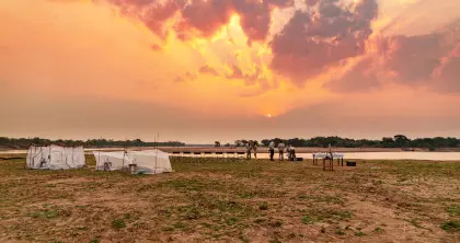 6 Day Luxury South Luangwa Walking Safari