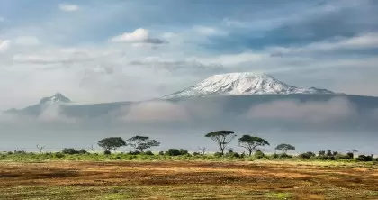Our scheduled departure 7 Day Tanzania Safari visits the highlights at great value