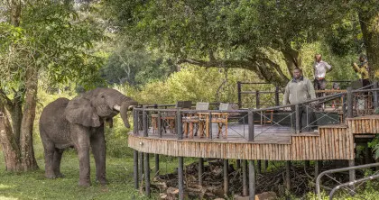 7 Day Best of Kenya Safari 