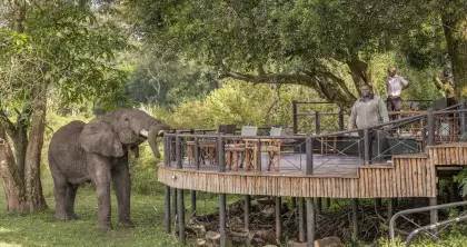 7 Day Best of Kenya Safari 