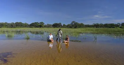 7 Day Okavango Delta & South Africa Safari & Beach Package 