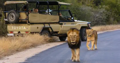 7 Days of fine wine & safari
