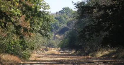 7 Day Eswatini Safari