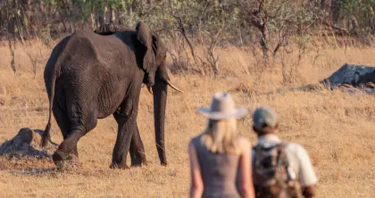 7 Day Hwange and Matopos Walking Safari