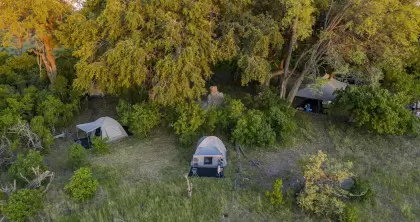 7 Day Okavango Delta and Chobe Walking Safari