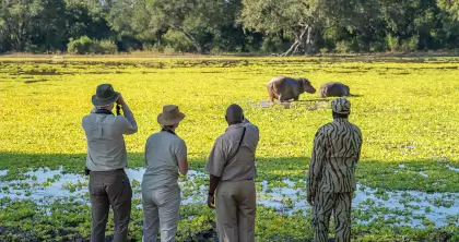 7 Day Zambia Safari