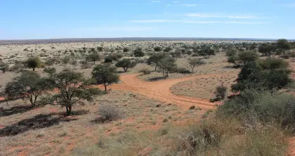 8 Day Kalahari Walking Safari