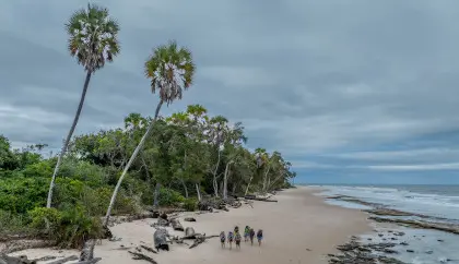 8-Day Loango Wilderness Walking Safari – Forests, Beaches & Wildlife Encounters