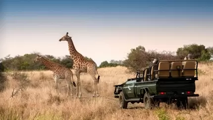 8 Day Safari and Beach Honeymoon