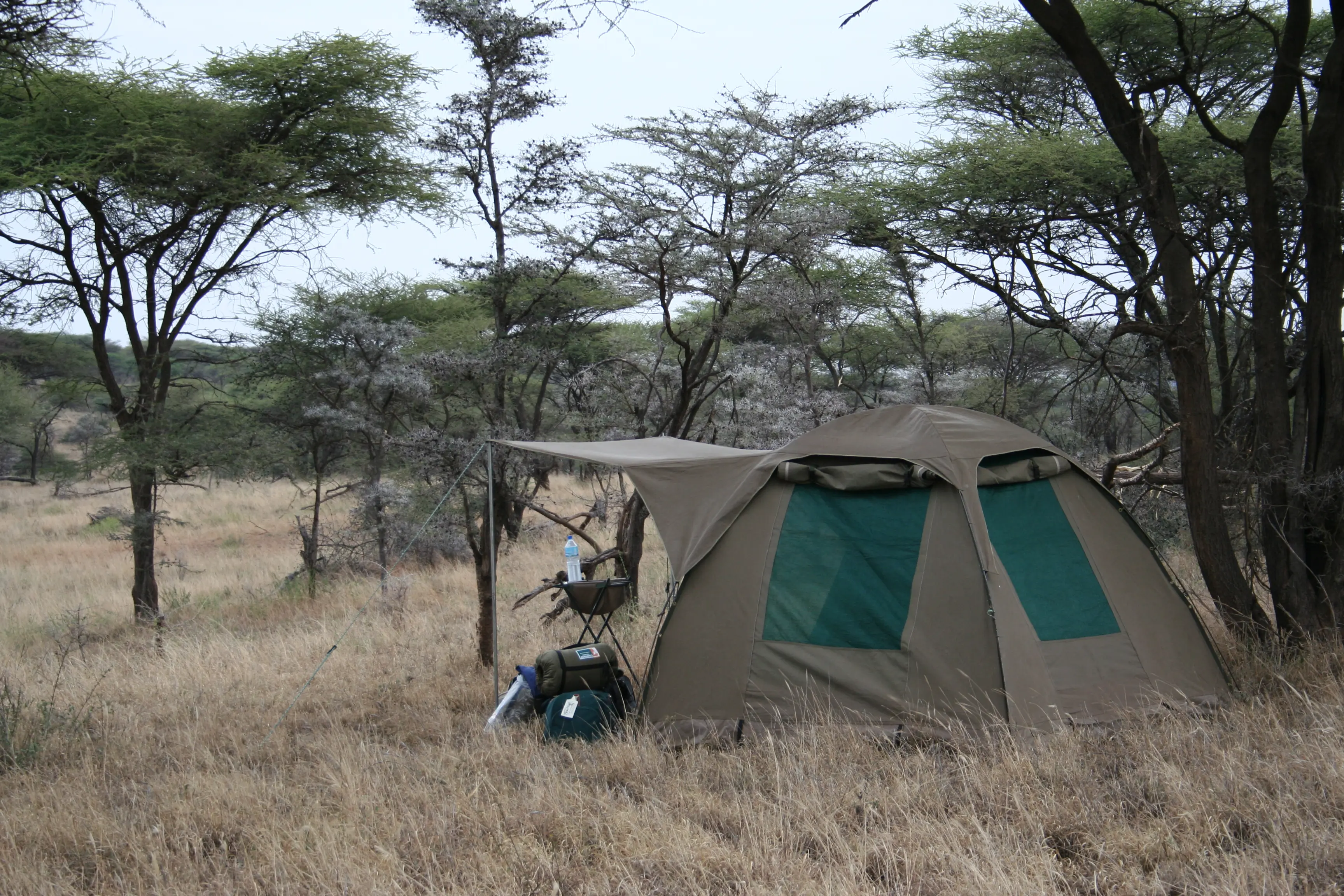8 Day Serengeti Walking Safari