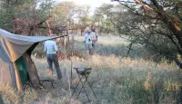8 Day Serengeti Walking Safari 