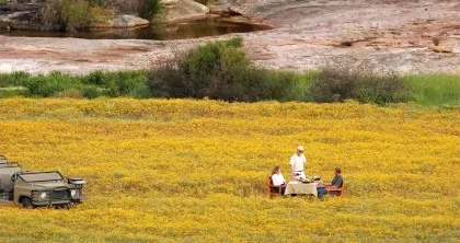 On this 8 Day tour we chase the magic of the spring time wild flowers on South Africa's west coast