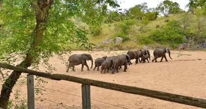 8 Days South Africa Self Drive Tour