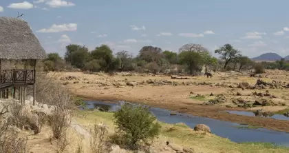 The Great Ruaha River in the Ruaha National Park