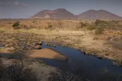 The Great Ruaha River in the Ruaha National Park