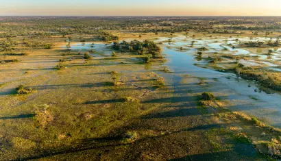 Lechwe, Okavango Delta