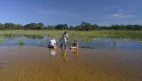 7 Day Botswana & South Africa Package