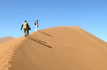 7 Day Namibia Highlights Safari