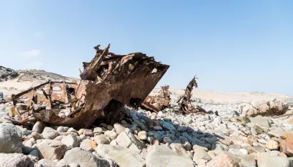 Skeleton Coast