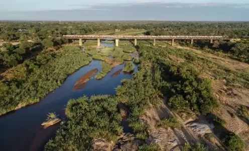 Kruger Shalati - The Train on the Bridge