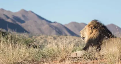 Tswalu Kalahari, South Africa