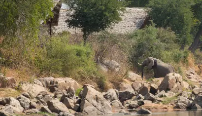 Ruaha National Park
