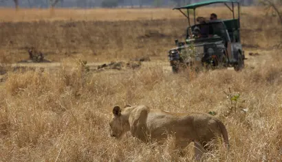 Nyerere National Park