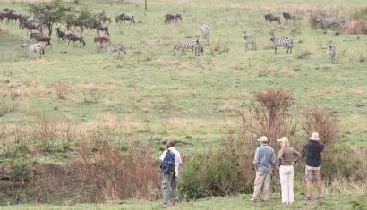 The Serengeti 