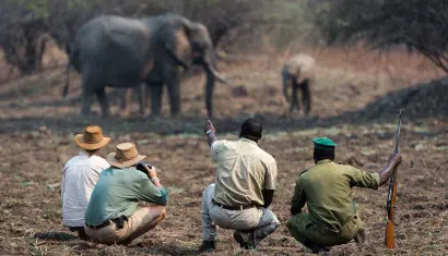 South Luangwa National Park, Robin Pope Safaris