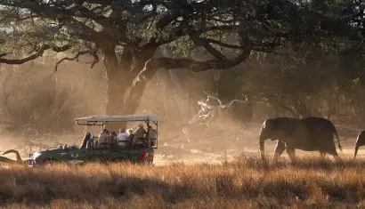 Hwange National Park, Ivory lodge
