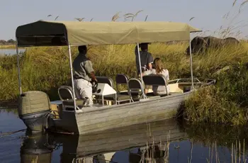 Boat based game viewing, Okavango Delta