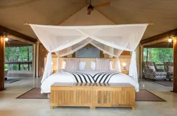 Room interior, Tuli Safari Lodge