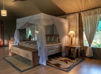 Luxury rooms at Mara Maisha Camp