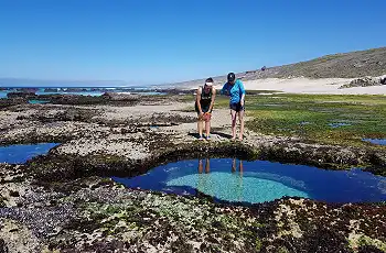Marine walks exploring the rockpools, Lekkerwater Beach Lodge