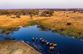 Aerial view of elephants with Tuludi in the background