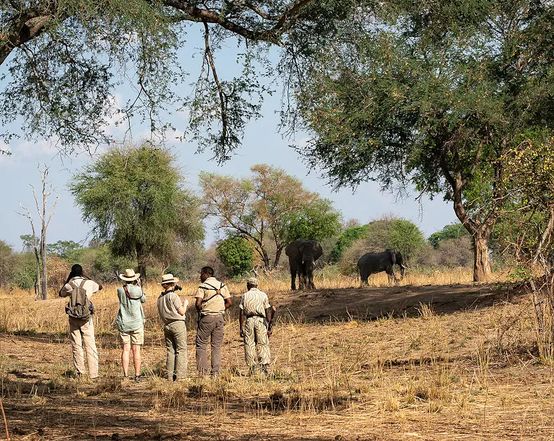 10 Day South Luangwa and Victoria Falls Walking Safari