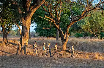 Beautiful scenery on your walking safari in South Luangwa National Park, Zambia