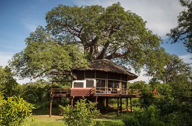 Tarangire Treetops Lodge, Tarangire National Park, Tanzania