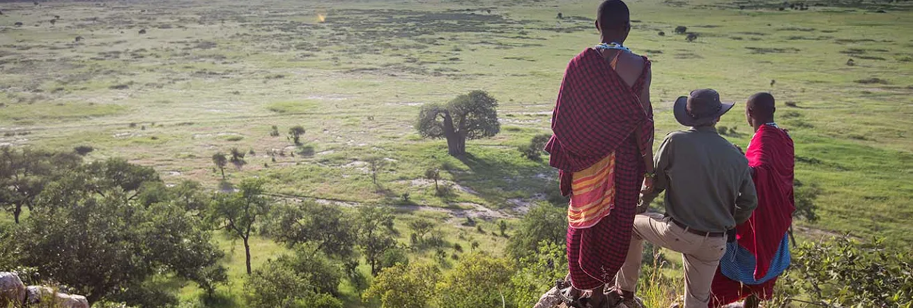 View of the Tarangire National Park, Tanzania