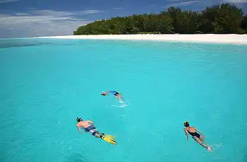Snorkelling straight off the beach - Mnemba Island Lodge