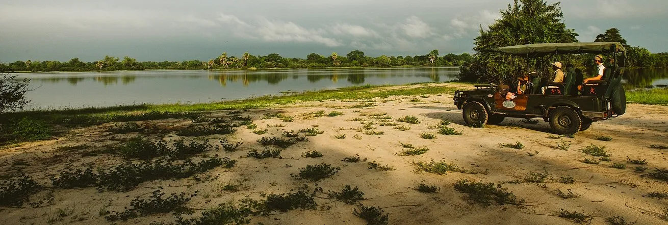 Game drive at Rufiji Camp, Tanzania