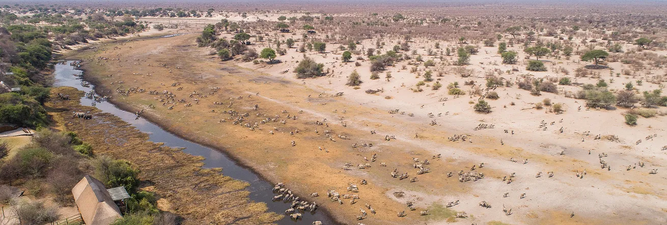 Le Roo La Tau is located on the Boteti River, Botswana