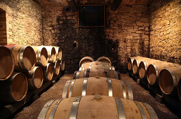 Wine Cellar, Cape Winelands, South Africa