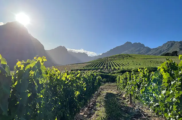 Cape Winelands, South Africa