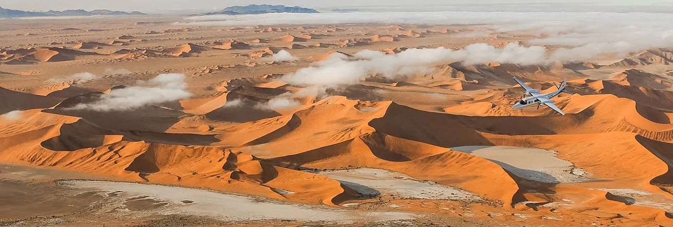 Fly in Safari, Namibia